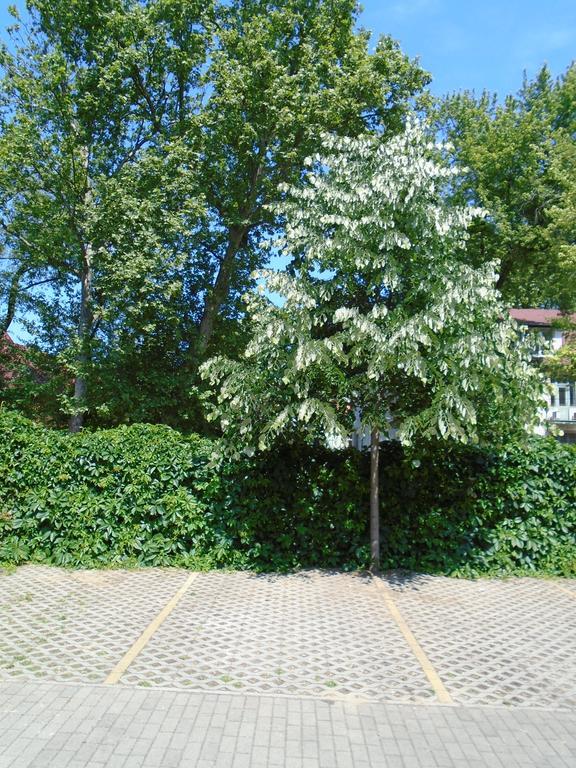 Sunny Apartman Siofok Exterior photo